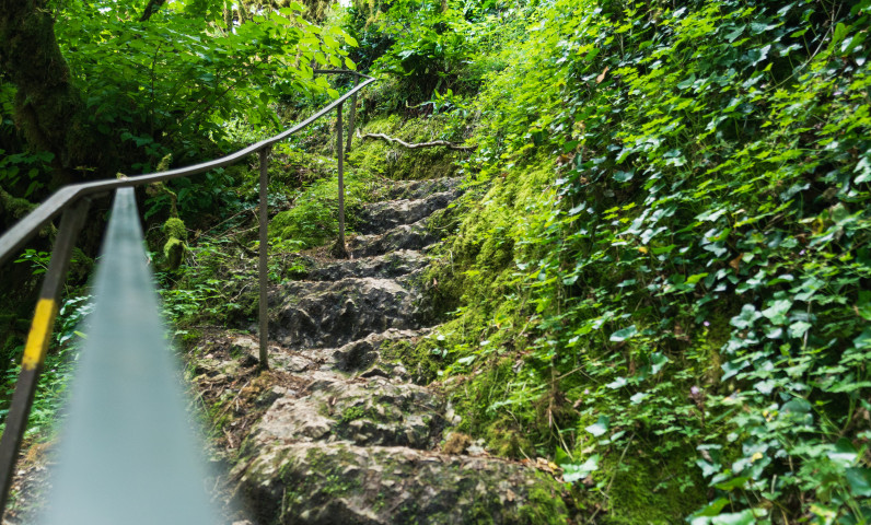 Between forests, trails, and fig trees, discover the natural beauty of the Lot from Camping Le Séquoia.