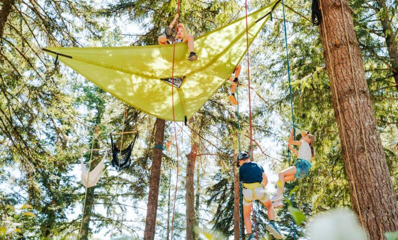 Tree climbing activity at the campsite