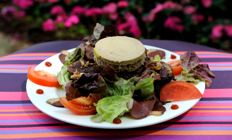 Camping_lesequoia_salade_perigord.jpg