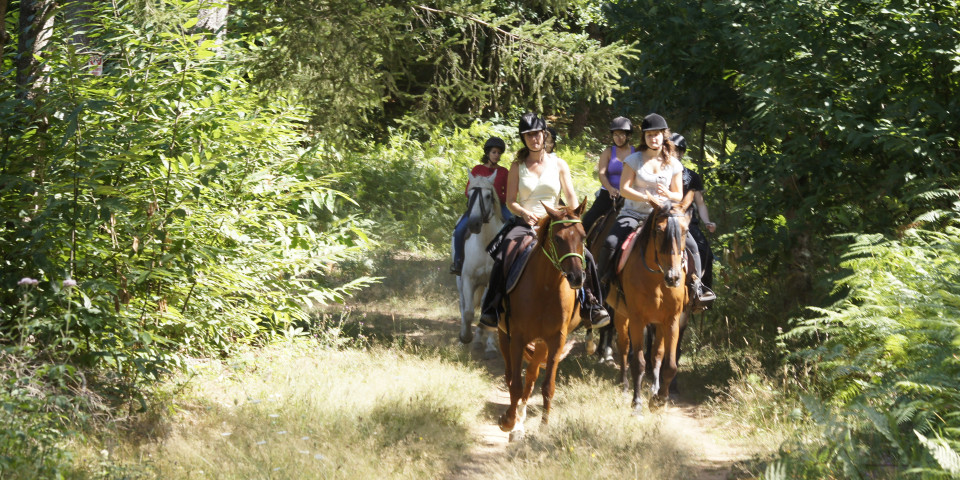 equitation_campipng_les_sequoia.JPG