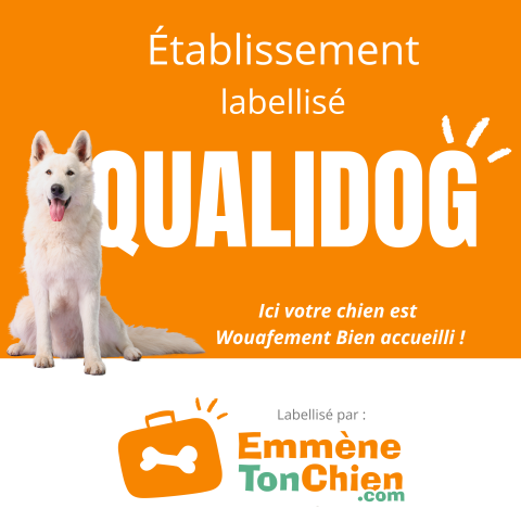 Qualidog.png