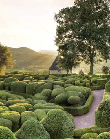 Les célèbres buis taillés à la main qui font la beauté des Jardins de Marqueyssac.