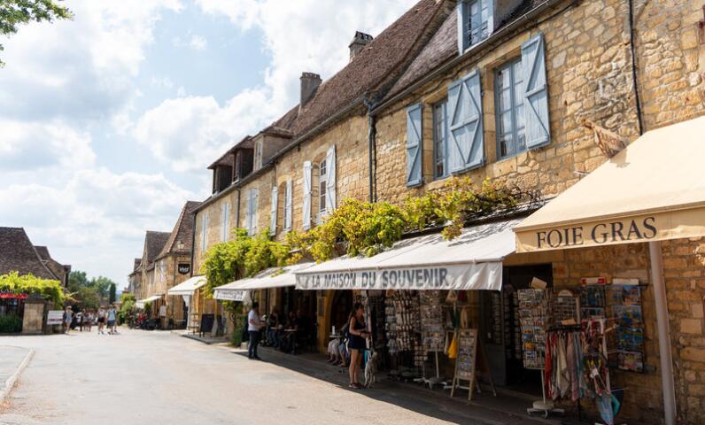 Ruelle principale de Domme bordée de maisons en pierre blonde, boutiques locales et terrasses ombragées, sous un ciel ensoleillé dans l’un des plus beaux villages de Dordogne.