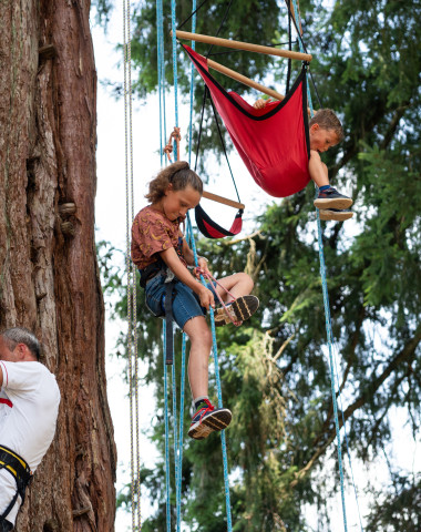 Enfants participant à une activité d’escalade dans les séquoias