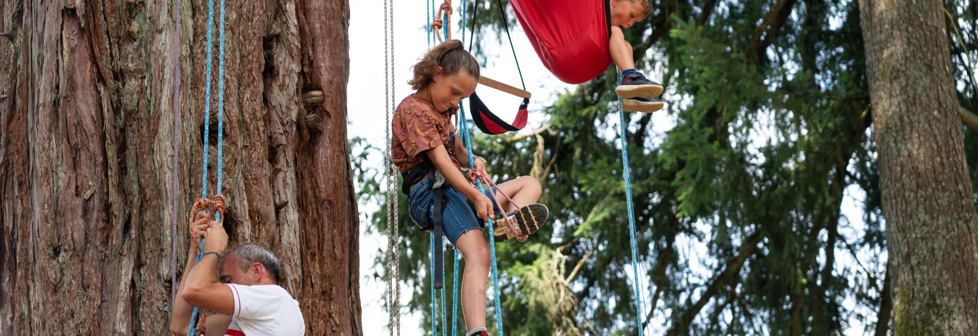 Kinderen die klimmen in sequoia-bomen tijdens een begeleide avonturenactiviteit, een actief en onvergetelijk moment op de camping.